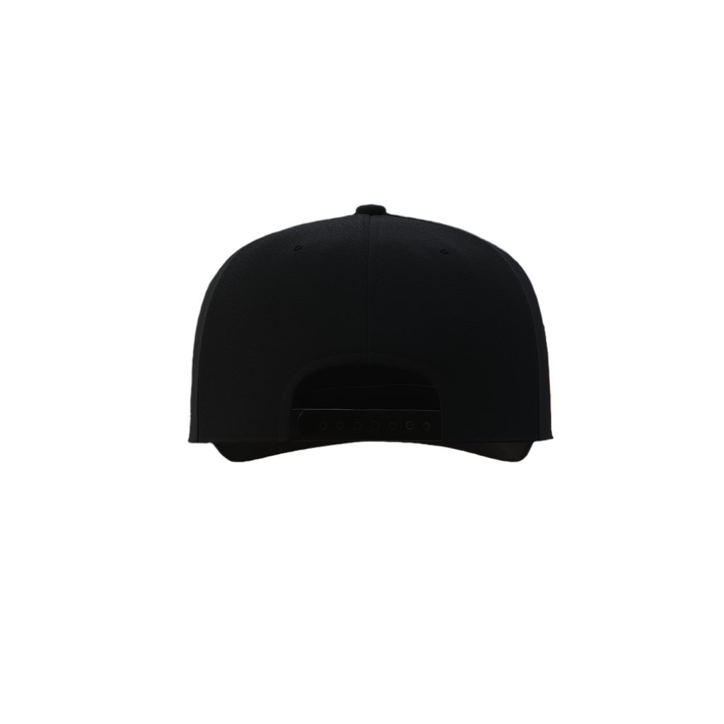 VA W/WING FITTED HAT + FREE "SOVA" SB HAT + FREE ITEM