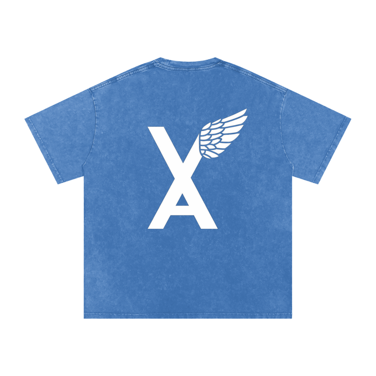 “VA w/wing Immaculate Creation” Snow Washed Oversized Cotton T-Shirt