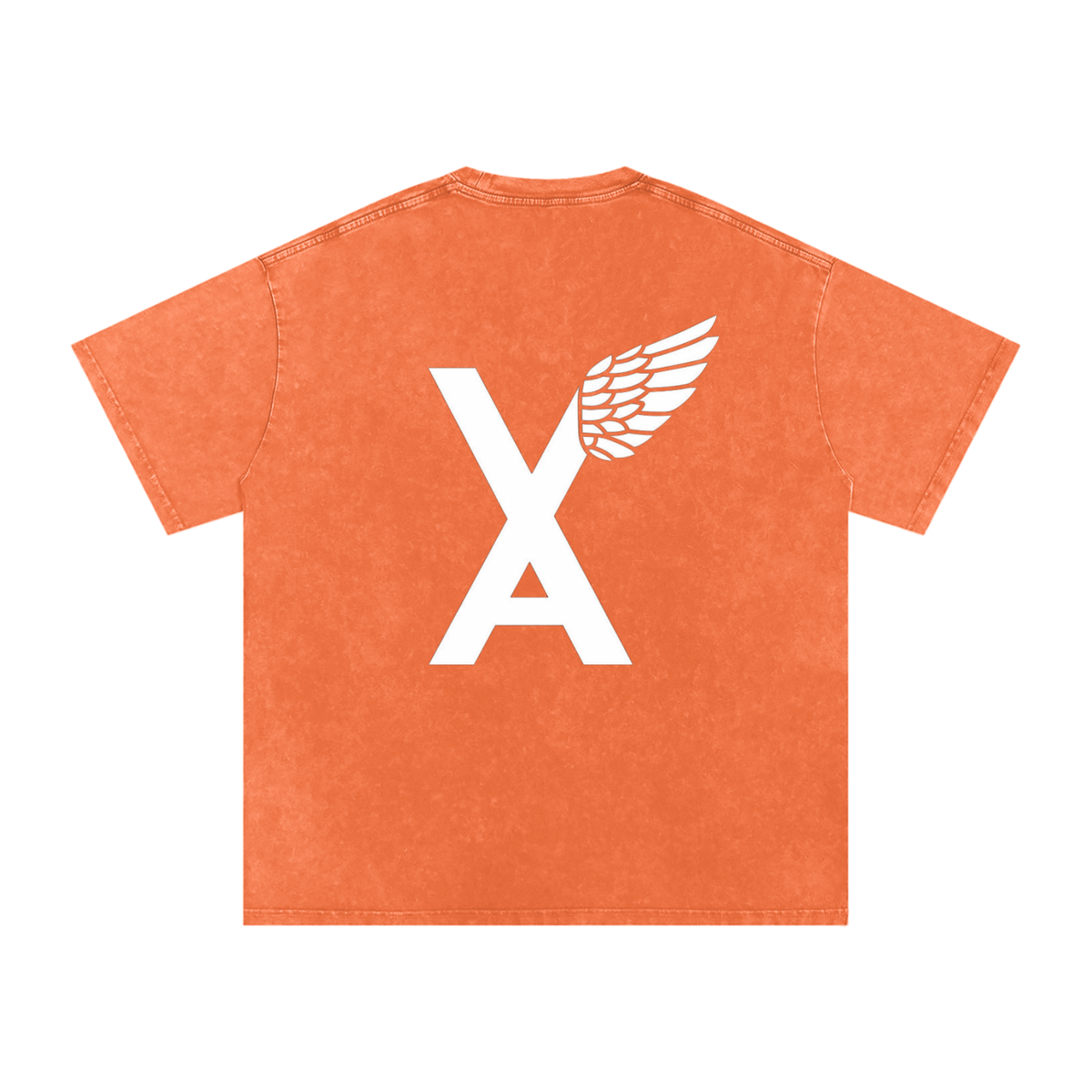 “VA w/wing Immaculate Creation” Snow Washed Oversized Cotton T-Shirt