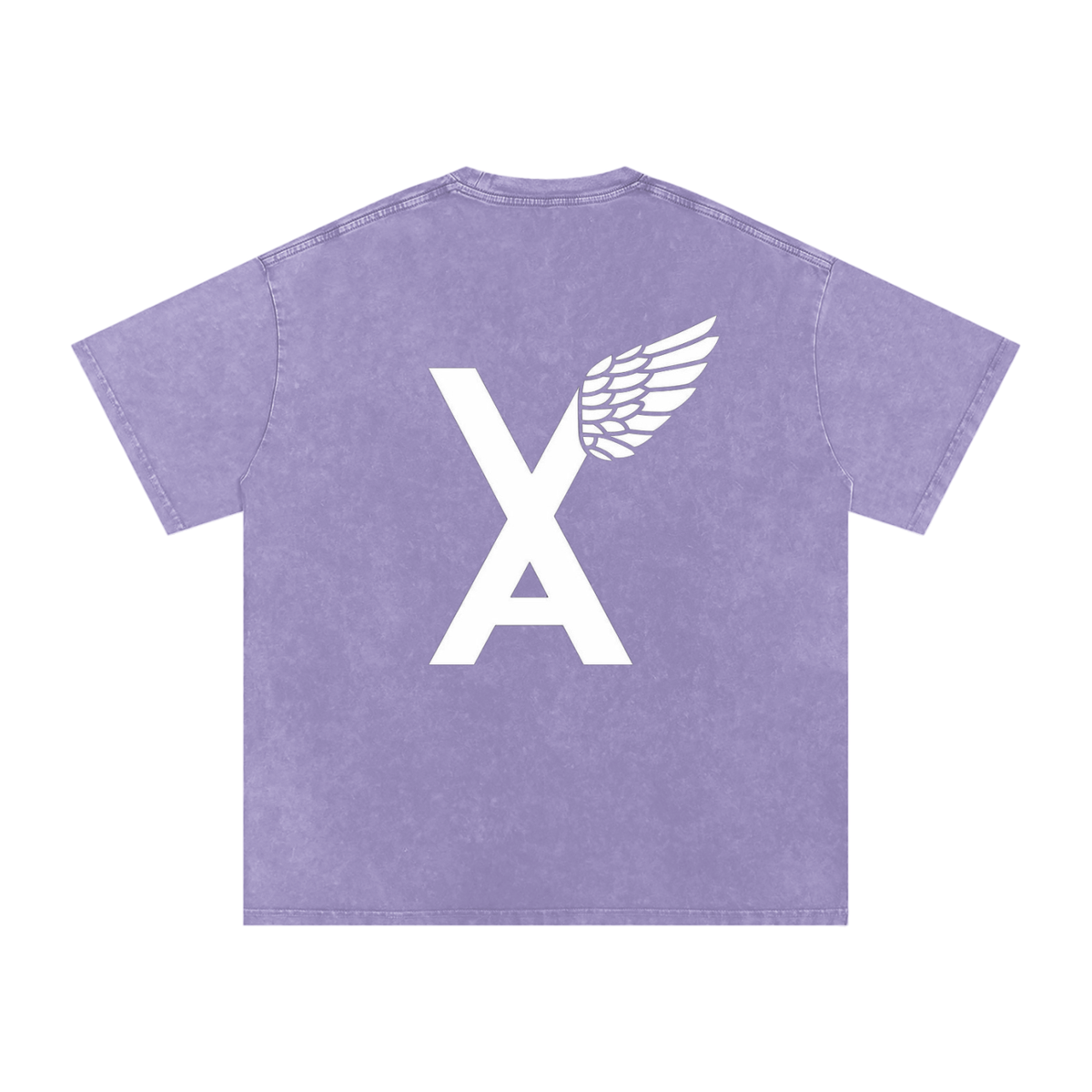 “VA w/wing Immaculate Creation” Snow Washed Oversized Cotton T-Shirt
