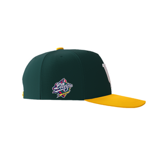 “VA’s Own” Premium SnapBack Hat