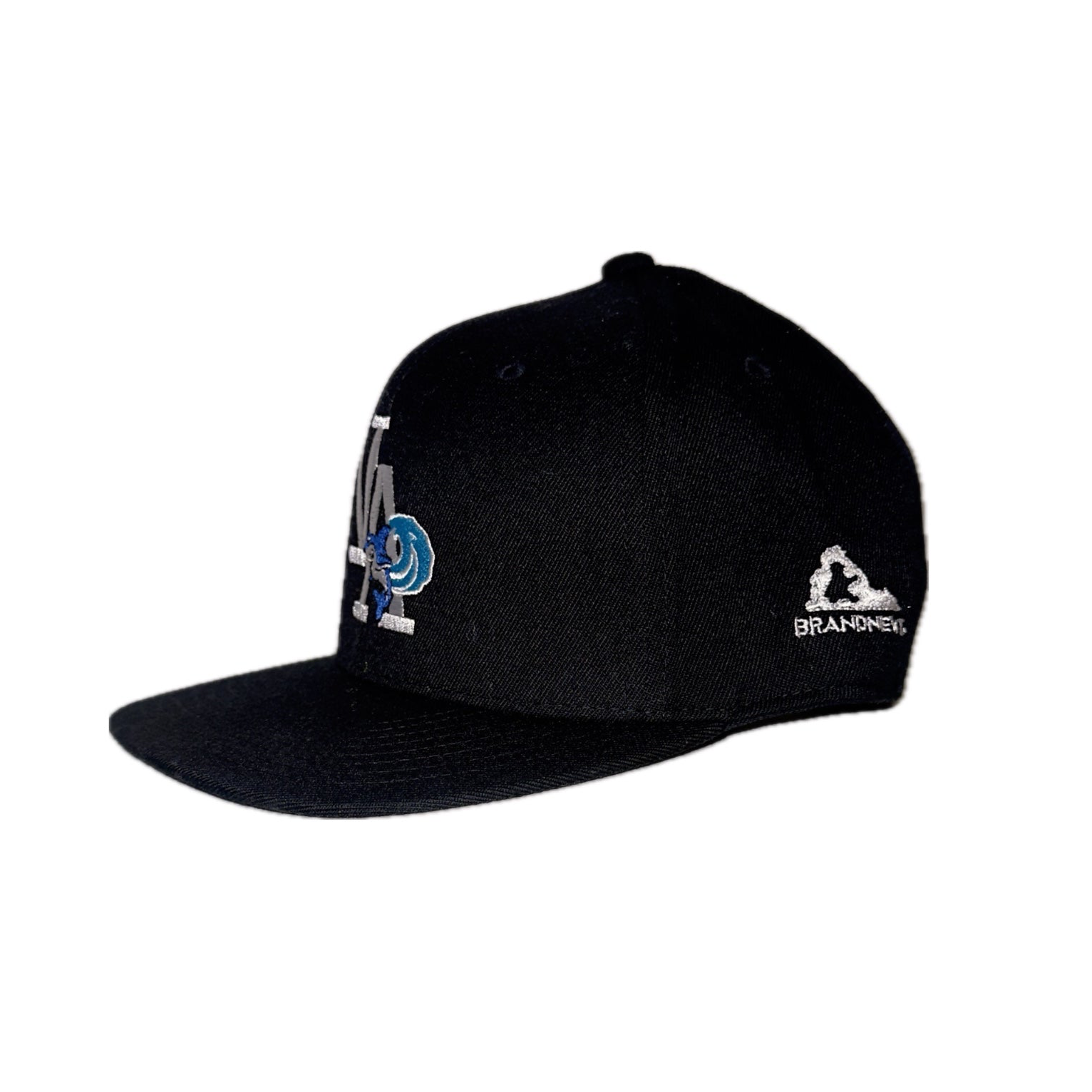 “VA Wave” Premium SnapBack Hat