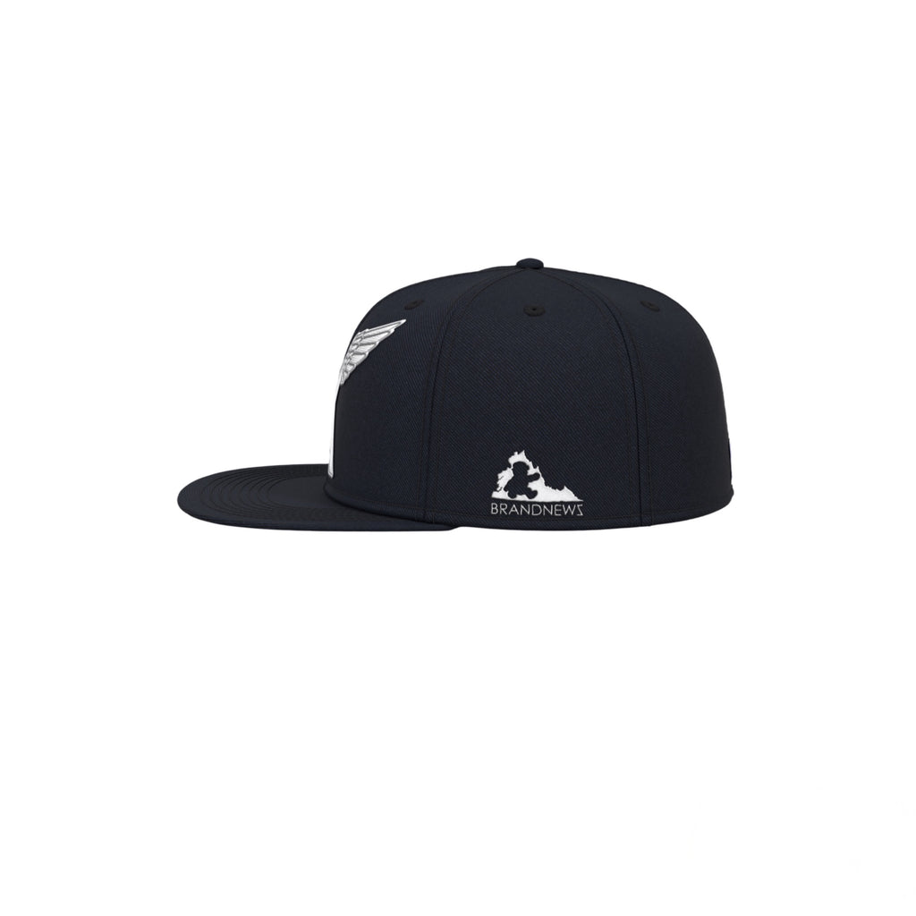 VA W/WING FITTED HAT + FREE "SOVA" SB HAT + FREE ITEM