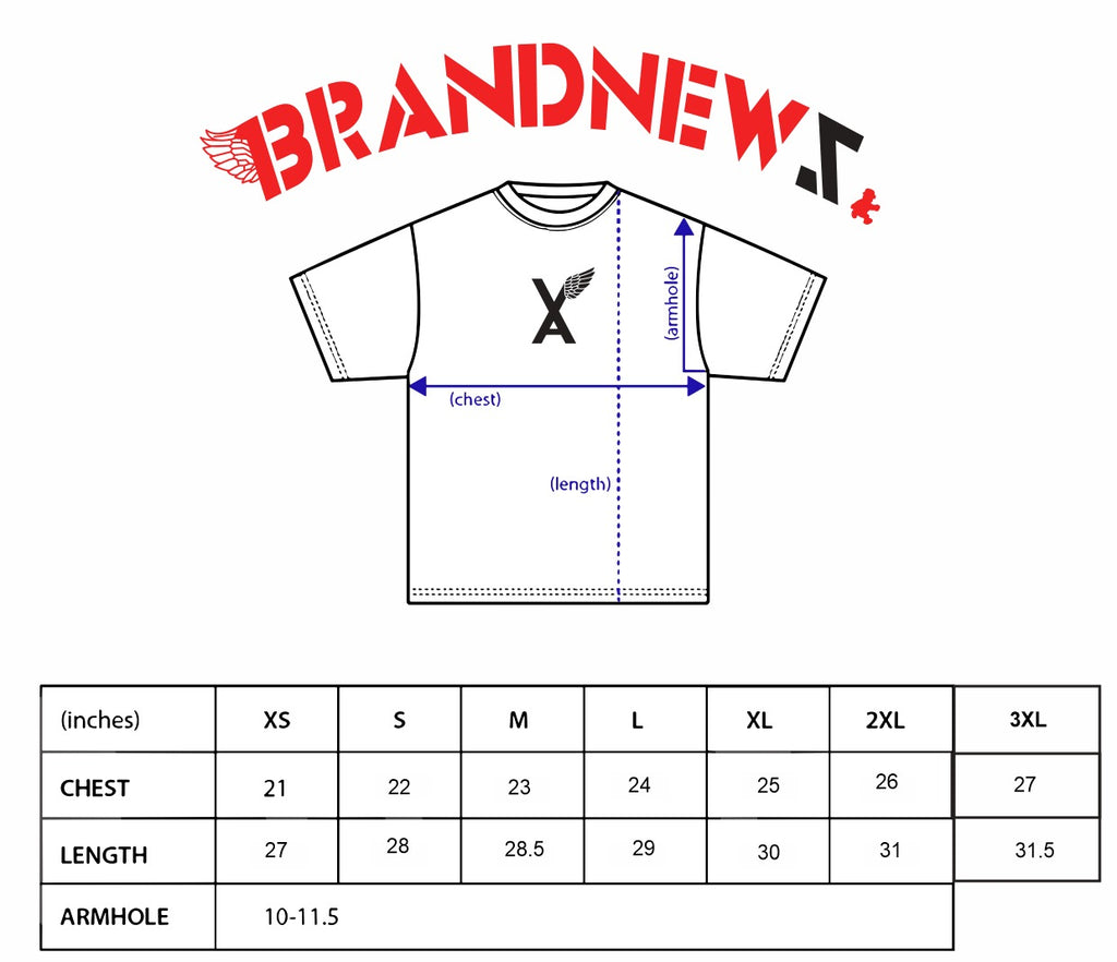 RHINESTONE TEE+ FREE VA W/WING SB Hat + FREE ITEM