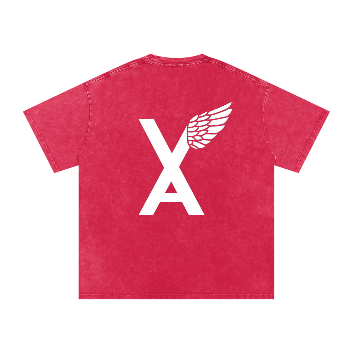 “VA w/wing Immaculate Creation” Snow Washed Oversized Cotton T-Shirt
